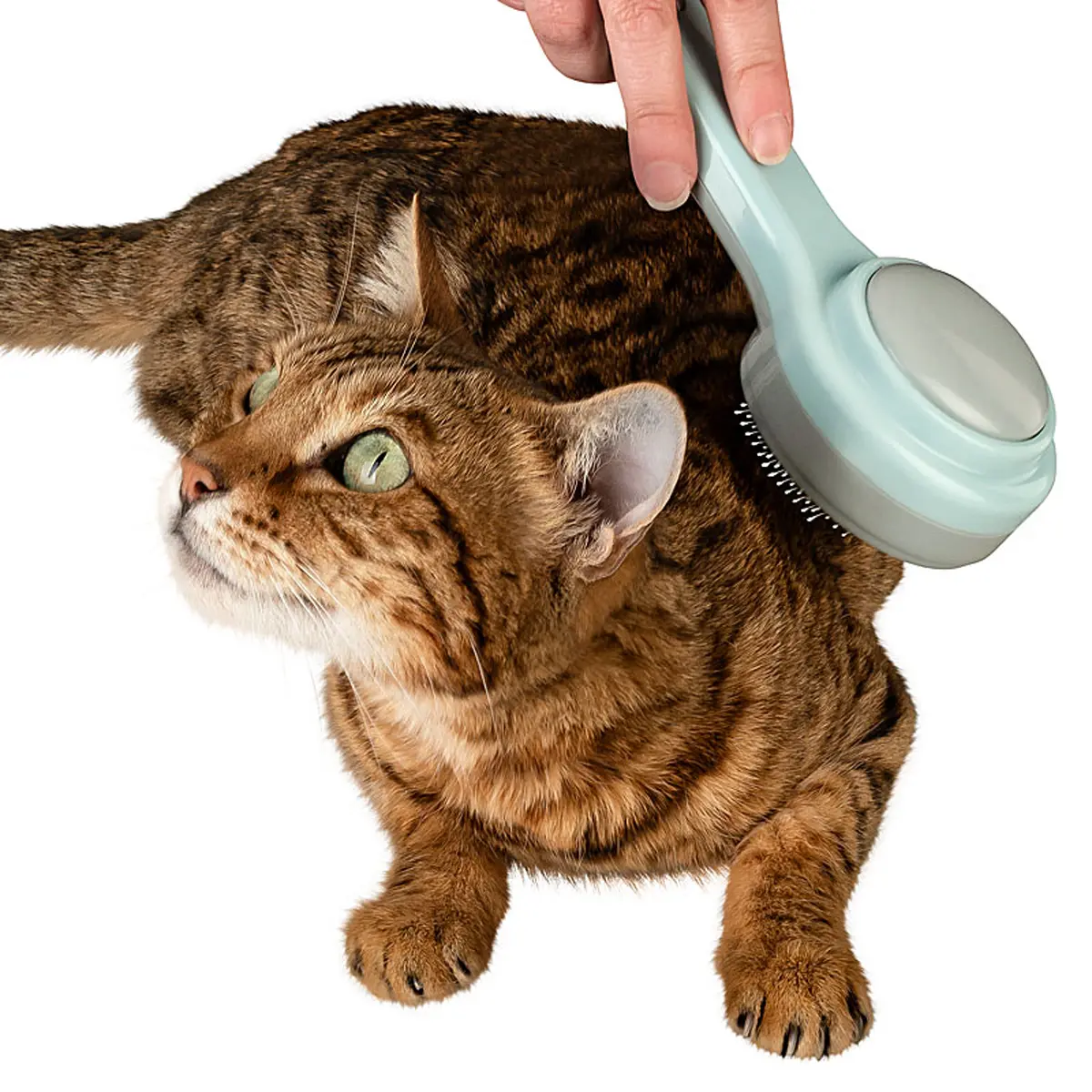 Produktfotografie, Produktfotos aus dem Jahr 2023